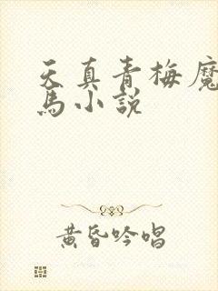 天真青梅魔鬼竹马小说封面