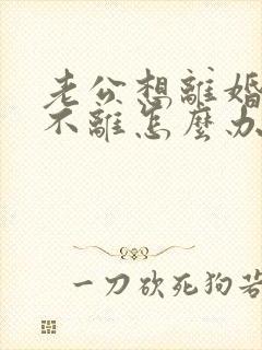 老公想离婚妻子不离怎么办封面