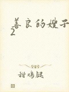 善良的嫂子韩剧2封面