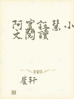 阿宾钰慧小说全文阅读封面
