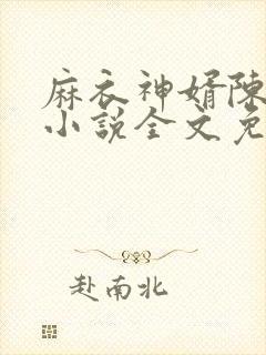 麻衣神婿陈黄皮小说全文免费阅读封面