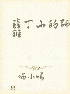 薛丁山的师傅是谁封面