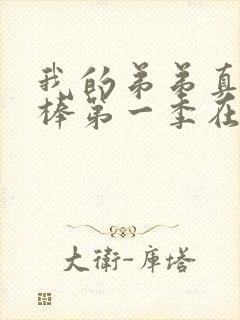 我的弟弟真的很棒第一季在线动漫