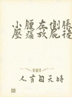 小腹左侧胀气按压痛放屁后缓解