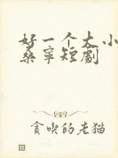 好一个大小姐南桑宁短剧封面