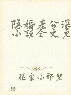 隐婚老公深夜来小说全文免费阅读