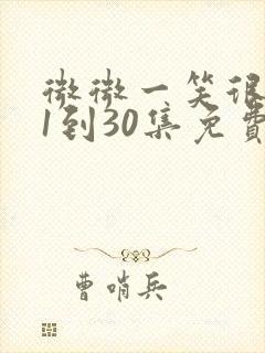 微微一笑很倾城1到30集免费