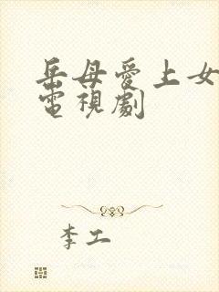 岳母爱上女婿的电视剧