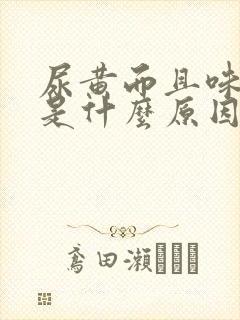 尿黄而且味道重是什么原因引起的