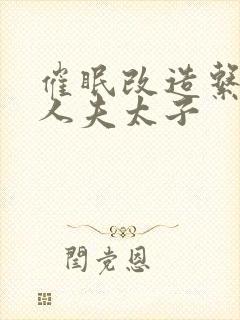 催眠改造系统美人夫太子封面