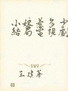 小娘惹多少级大结局电视剧