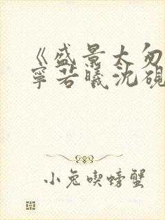 《盛景太匆匆》宁若曦沈砚舟30