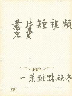 黄片短视频成人免费封面