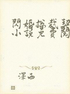 闪婚总裁契约妻小说免费阅读封面