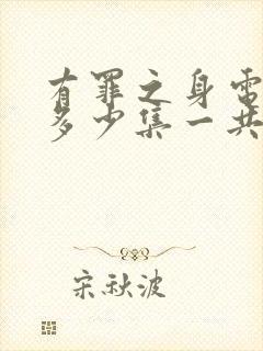 有罪之身电视剧多少集一共