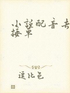 小说配音去哪里接单封面