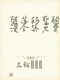 堕落的圣骑士动漫全集免费观看封面