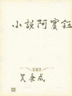 小说阿宾钰慧