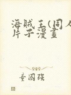 海贼王(同人)片子漫画封面