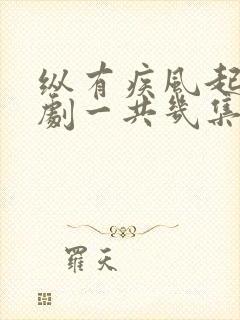 纵有疾风起电视剧一共几集