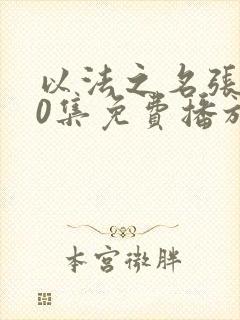 以法之名张译40集免费播放电视剧