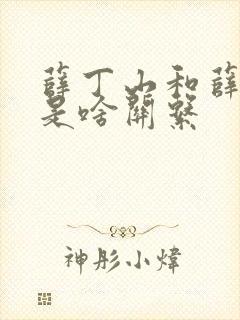 薛丁山和薛仁贵是啥关系