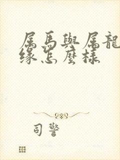 属马与属龙的姻缘怎么样