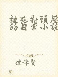 被死对头压在身的日常小说封面