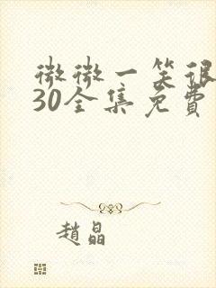 微微一笑很倾城30全集免费