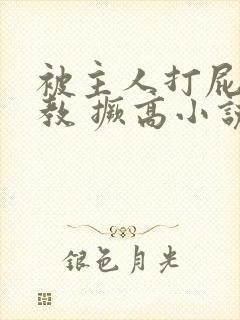 被主人打屁股调教 撅高小说