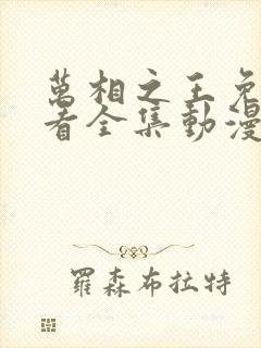 万相之王免费观看全集动漫