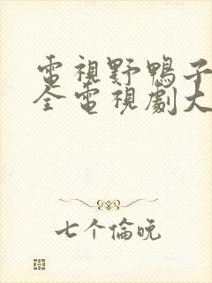 电视野鸭子剧大全电视剧大全免费封面