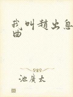 我叫赵出息主题曲