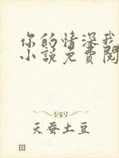 你的情深我不配小说免费阅读无弹窗