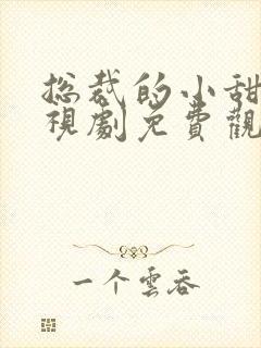 总裁的小甜妻电视剧免费观看全集封面