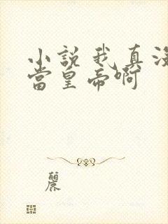 小说 我真没想当皇帝啊