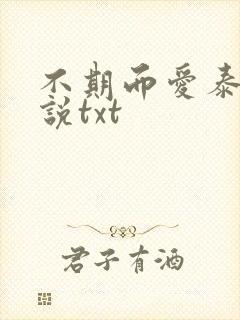 不期而爱泰国小说txt封面