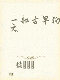 一部古早狗血虐文封面