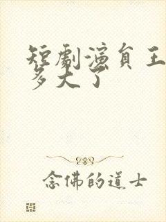 短剧演员王艺阳多大了