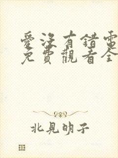 爱没有错电视剧免费观看全集封面