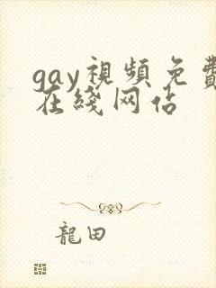 gay视频免费在线网站