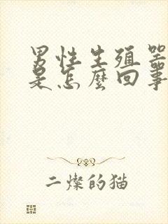 男性生殖器红斑是怎么回事