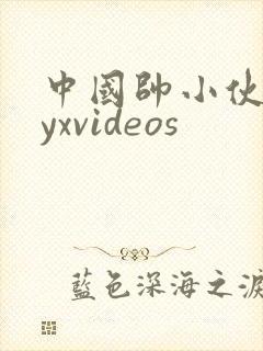 中国帅小伙gayxvideos封面