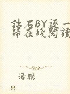 钻石BY逐一而归在线阅读