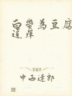 白带为豆腐渣阴道痒