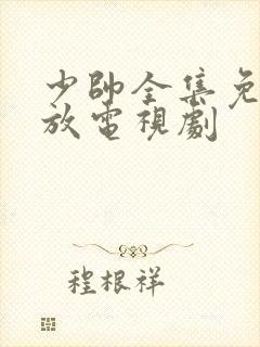 少帅全集免费播放电视剧