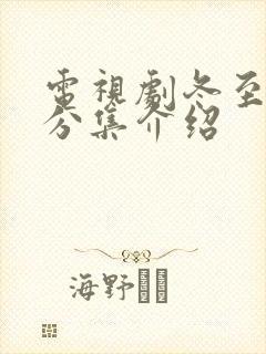 电视剧冬至剧情分集介绍