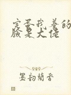 完蛋我养的小白脸是大佬