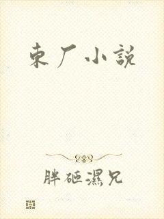 东厂小说