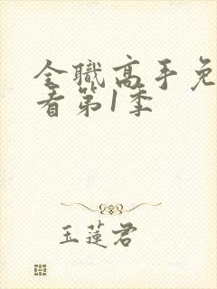 全职高手免费观看第1季